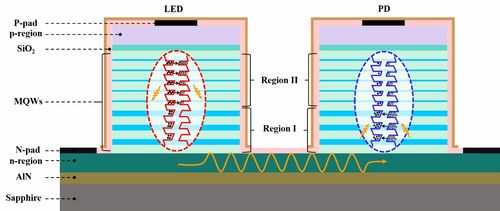 新成果展示 AlGaN基發(fā)光-探測(cè)雙功能集成光電子器件模型的開發(fā)與應(yīng)用