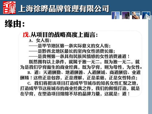 商業策劃人刀鋒與2013年畢節金街口項目 一次定位策劃的深度實踐與公關服務啟示